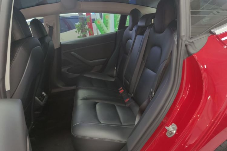 Tesla Model 3 2020 car image #17