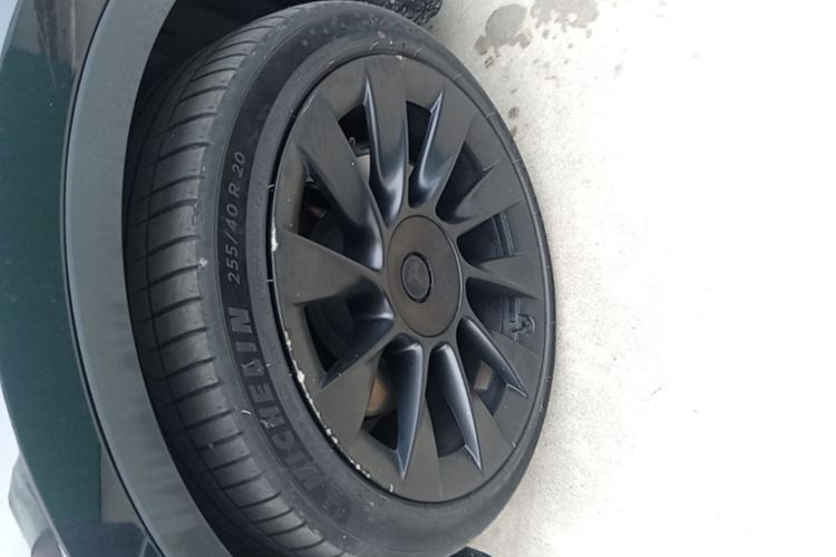 Tesla Model Y 2021 immagine di auto #9