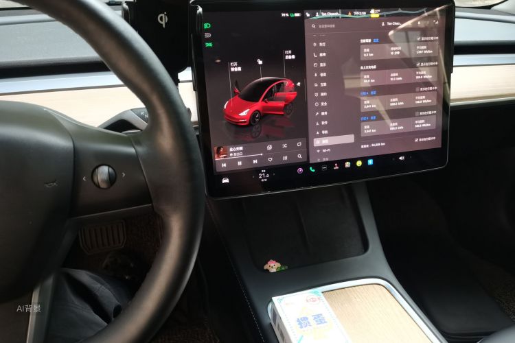 Tesla Model 3 2022 car image #15