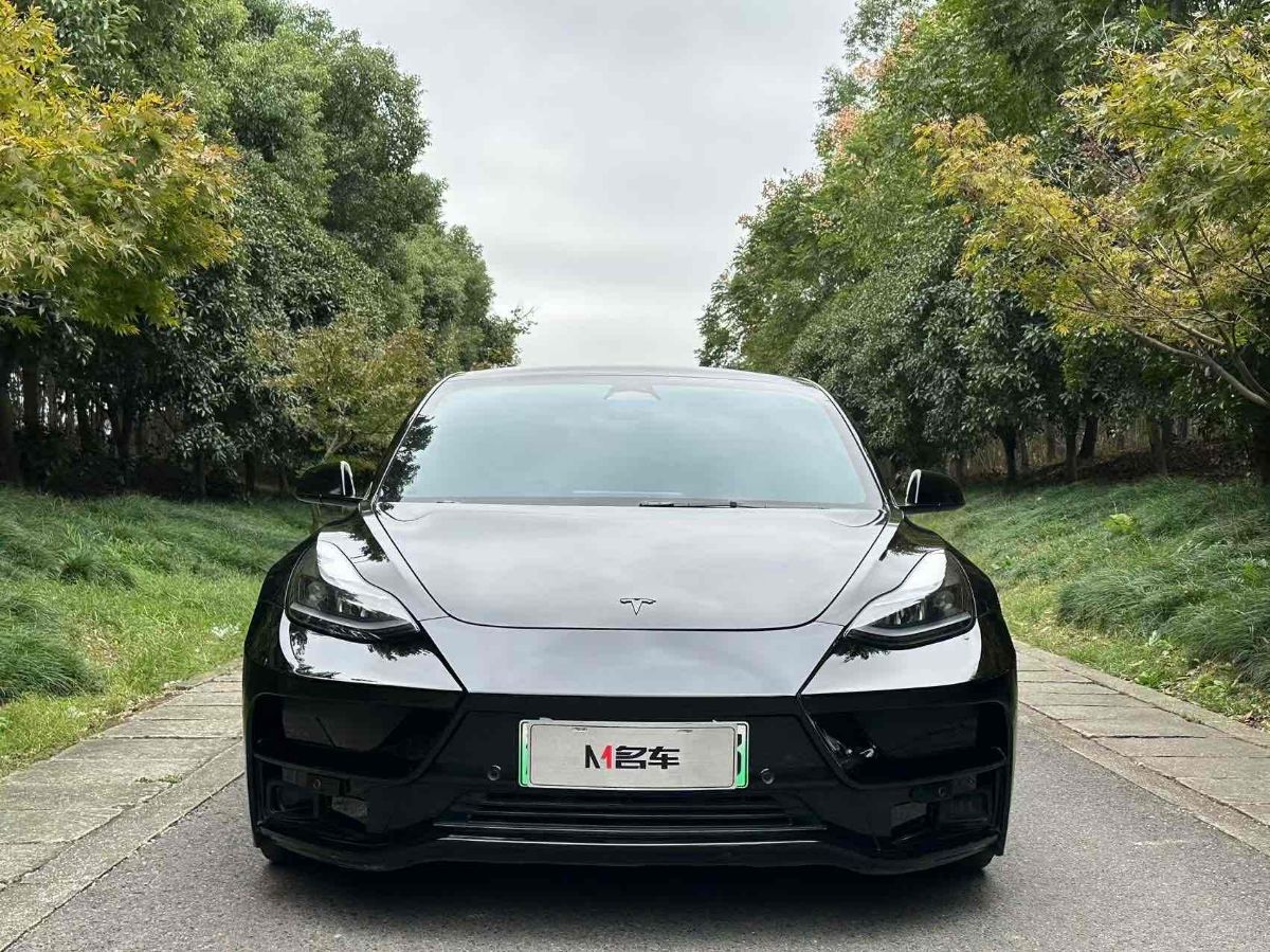 Tesla Model 3 2022 Tesla Model 3 2022 car image