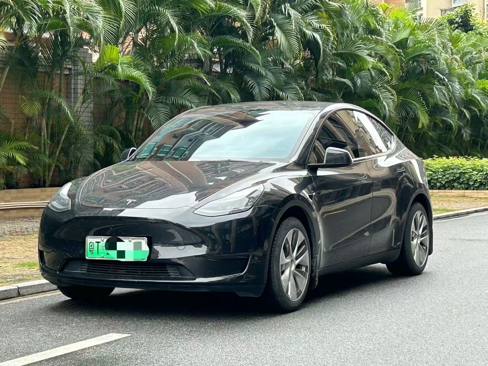 Tesla Model Y 2021 car image 