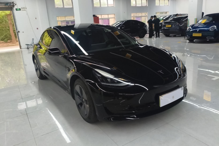 Tesla Model 3 2021 #4 Tesla Model 3 2021 car image #4