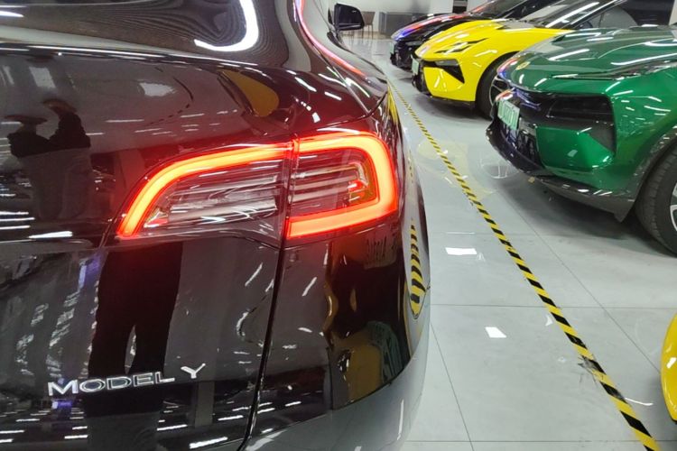 Tesla Model Y 2023 #8 Tesla Model Y 2023 car image #8