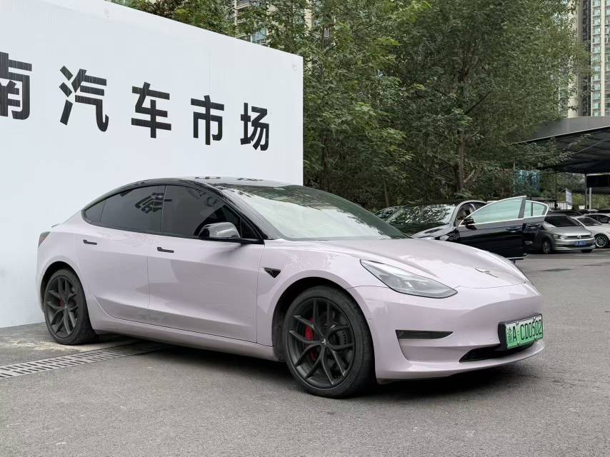 Tesla Model 3 2021 imagem de carro #4