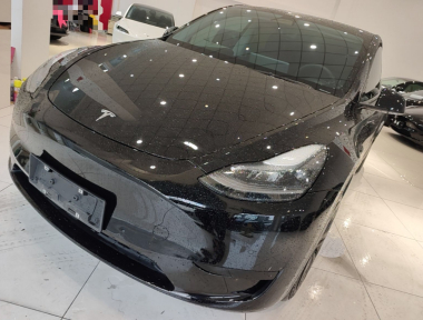 Tesla Model Y 2022 car image 