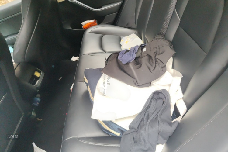 Tesla Model 3 2020 car image #19