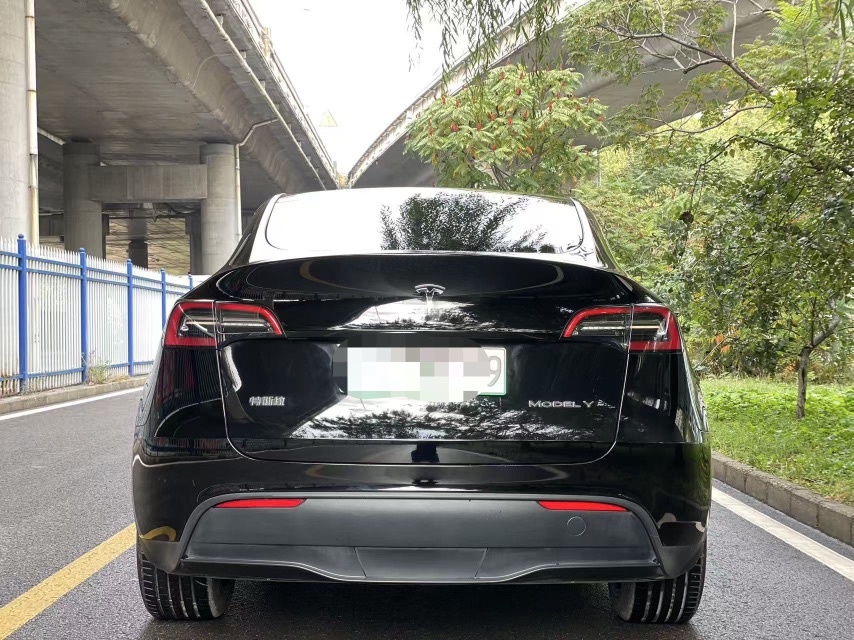 Tesla Model Y 2024 imagen de coche #6