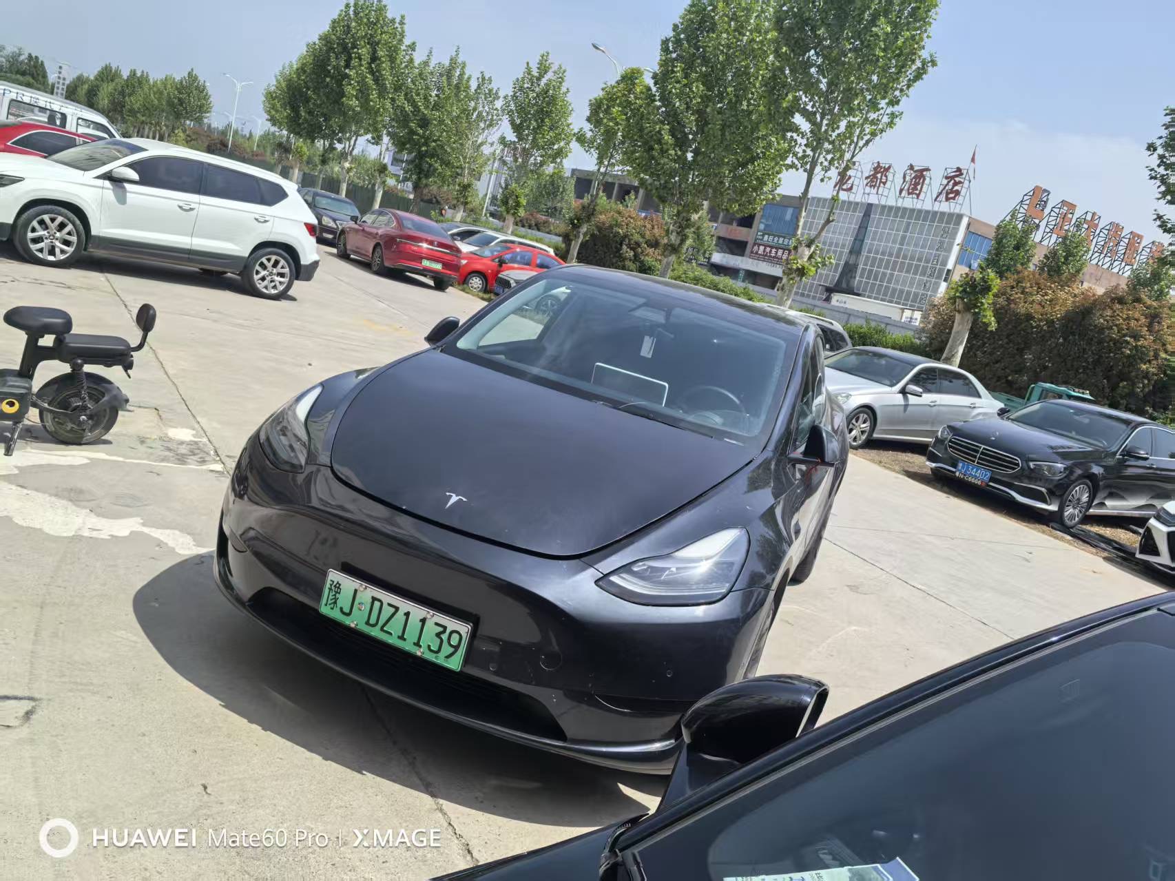Tesla Model Y 2023 Tesla Model Y 2023 car image