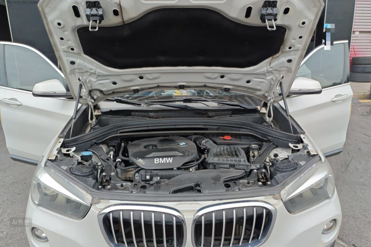 BMW X1 2019 #22 BMW X1 2019 car image #22