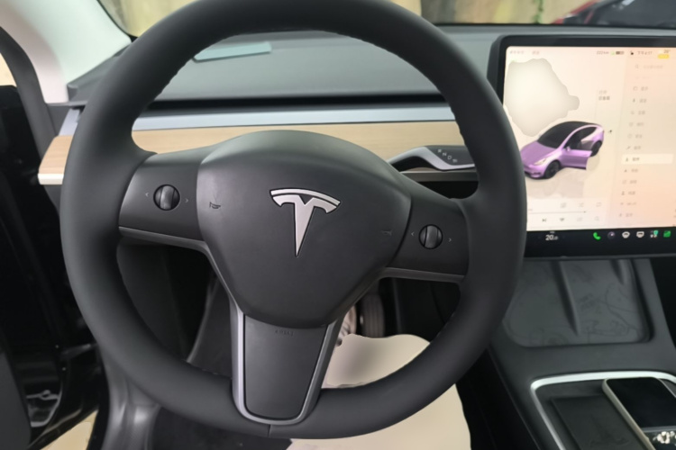 Tesla Model Y 2022 car image #11