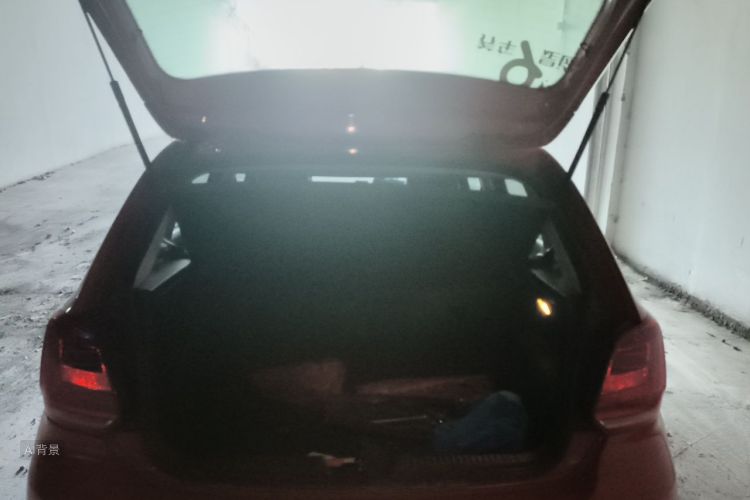 Volkswagen Polo 2014 car image #21