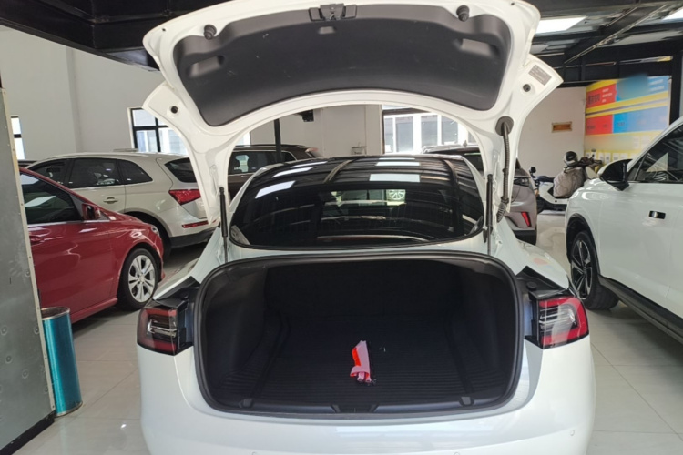 Tesla Model 3 2020 #21 Tesla Model 3 2020 car image #21
