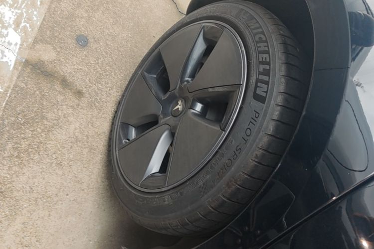 Tesla Model 3 2023 car image #10