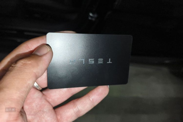 Tesla Model 3 2025 car image #10