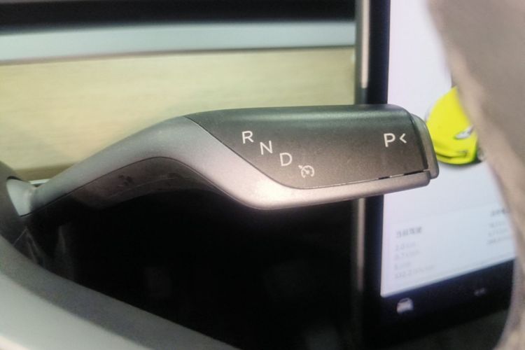 Tesla Model 3 2021 car image #18