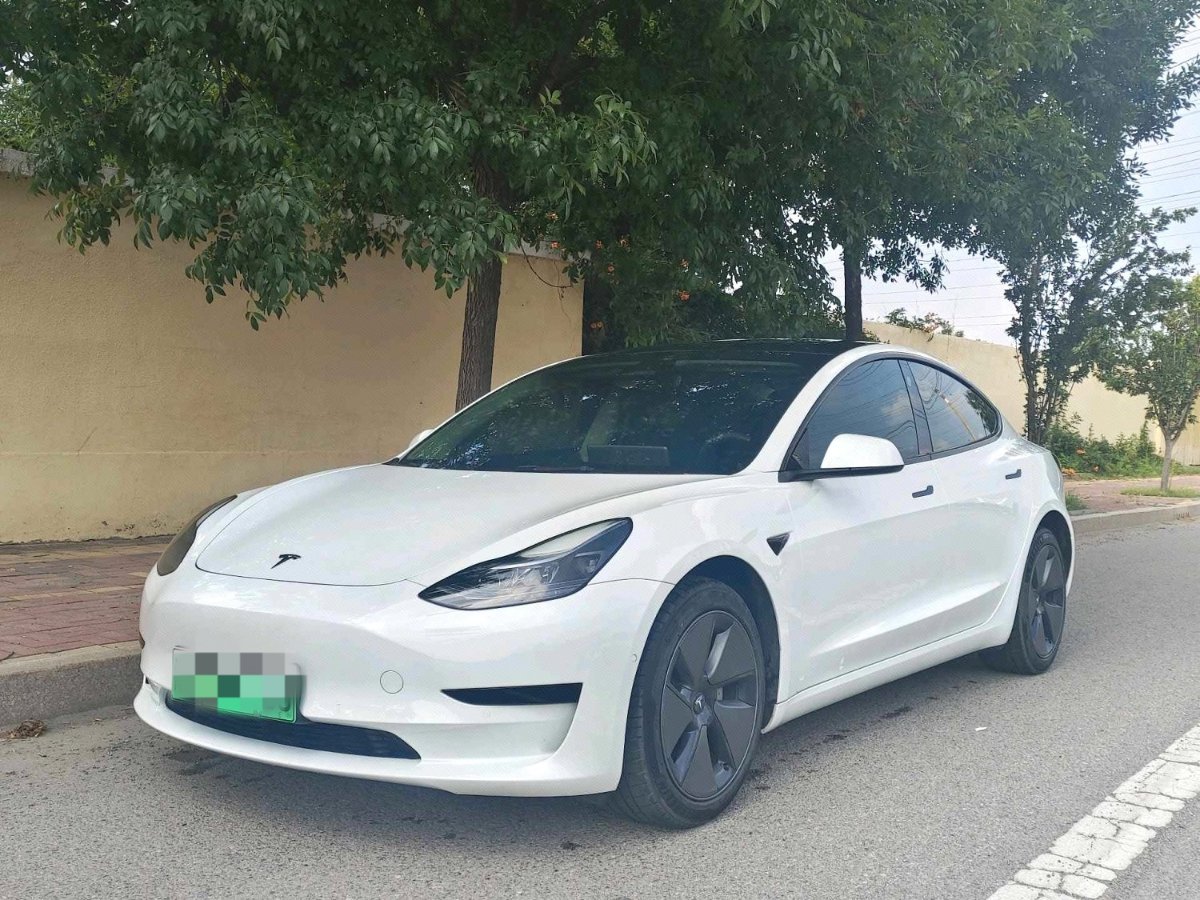 Tesla Model 3 2022 car image 