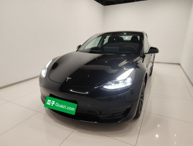 Tesla Model 3 2022 Tesla Model 3 2022 car image