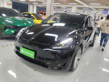 Tesla Model Y 2023 Tesla Model Y 2023 car image