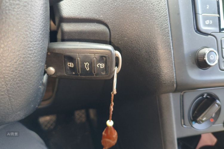 Volkswagen Polo 2015 car image #10