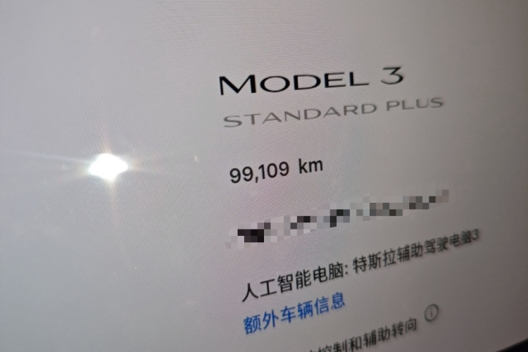 Tesla Model 3 2020 car image #12