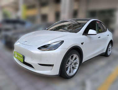 Tesla Model Y 2021 Tesla Model Y 2021 car image