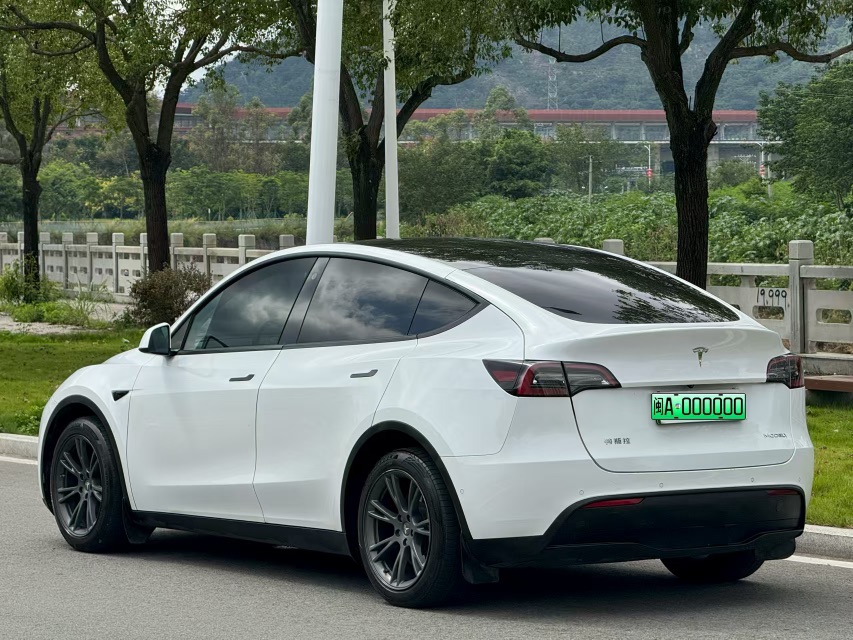 Tesla Model Y 2021 car image #4
