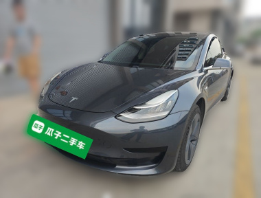 Tesla Model 3 2020 Tesla Model 3 2020 immagine di auto