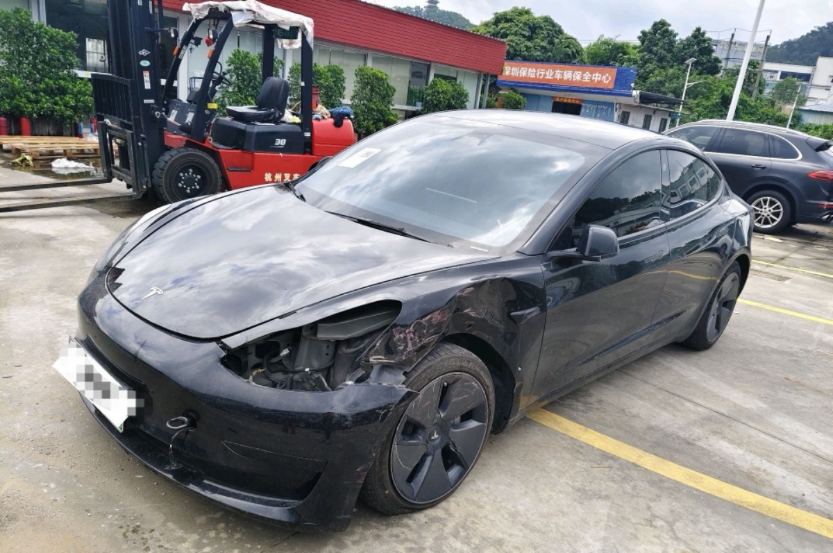 Tesla Model 3 2023 #13 Tesla Model 3 2023 car image #13