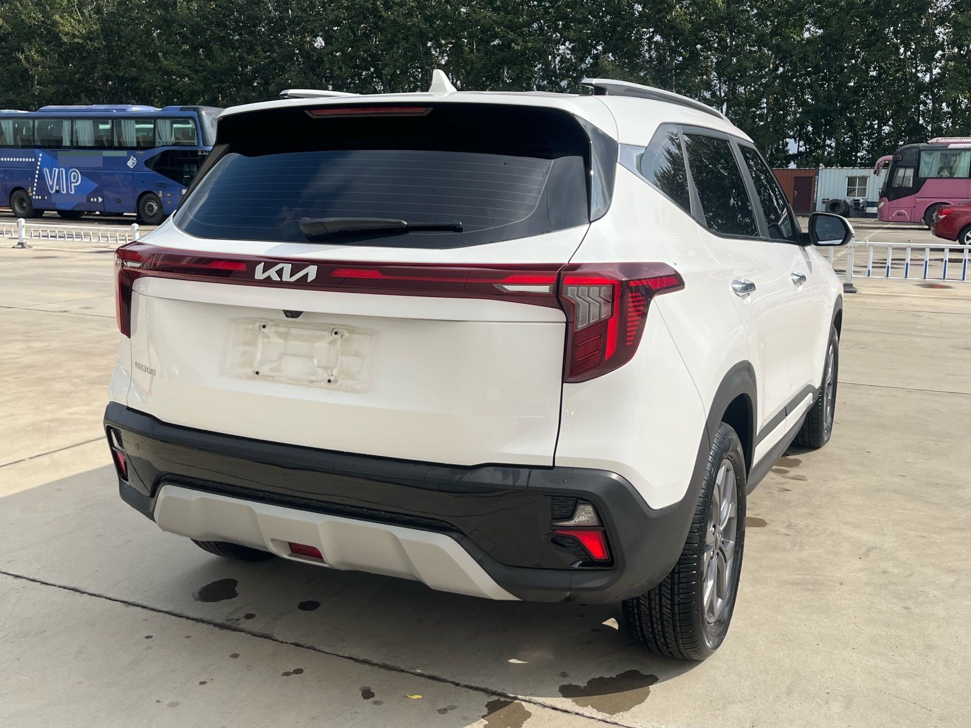 Kia Seltos 2024 immagine di auto #9
