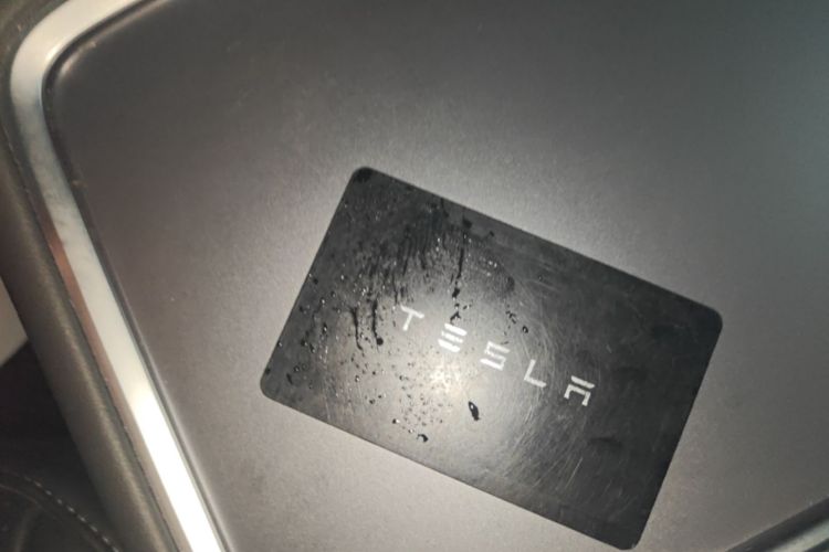 Tesla Model 3 2022 #9 Tesla Model 3 2022 car image #9