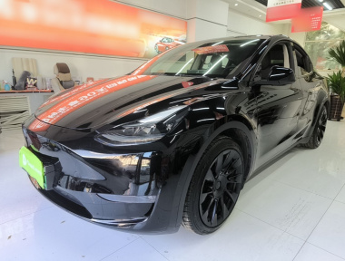 Tesla Model Y 2021 Tesla Model Y 2021 car image
