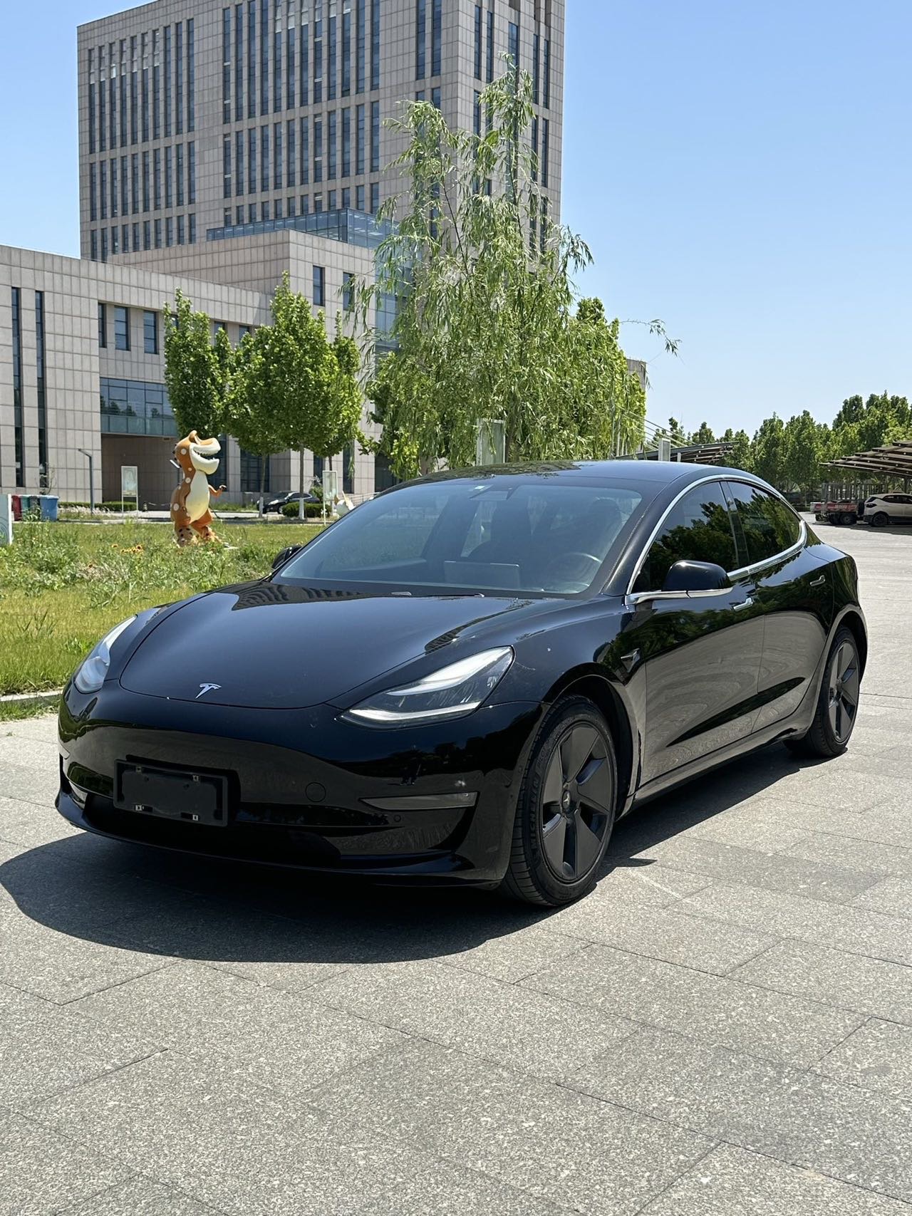 Tesla Model 3 2020 Tesla Model 3 2020 car image