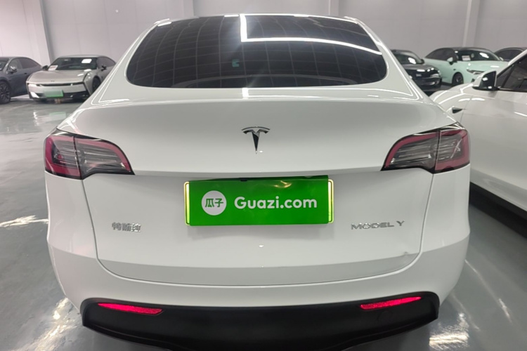 Tesla Model Y 2024 car image #6