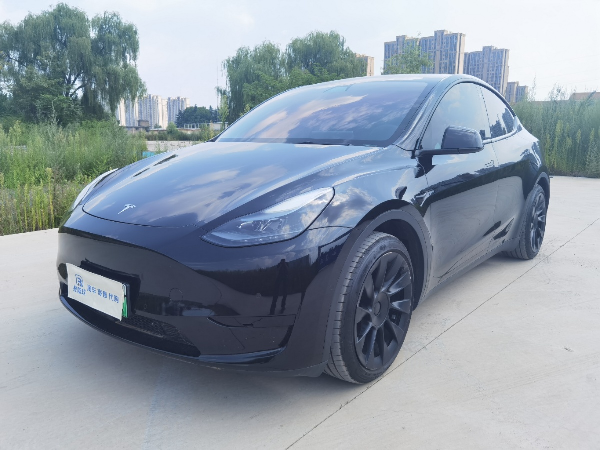 Tesla Model Y 2022 car image 
