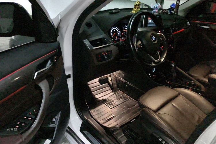 BMW X1 2019 car image #18
