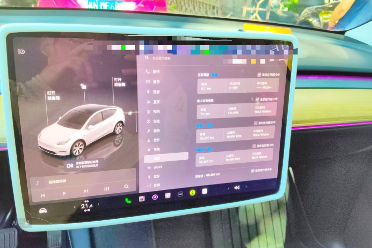 Tesla Model Y 2022 car image #13