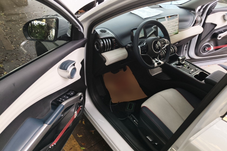 BYD Yuan Plus 2022 #16 BYD Yuan Plus 2022 car image #16