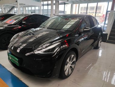 Tesla Model Y 2023 Tesla Model Y 2023 car image