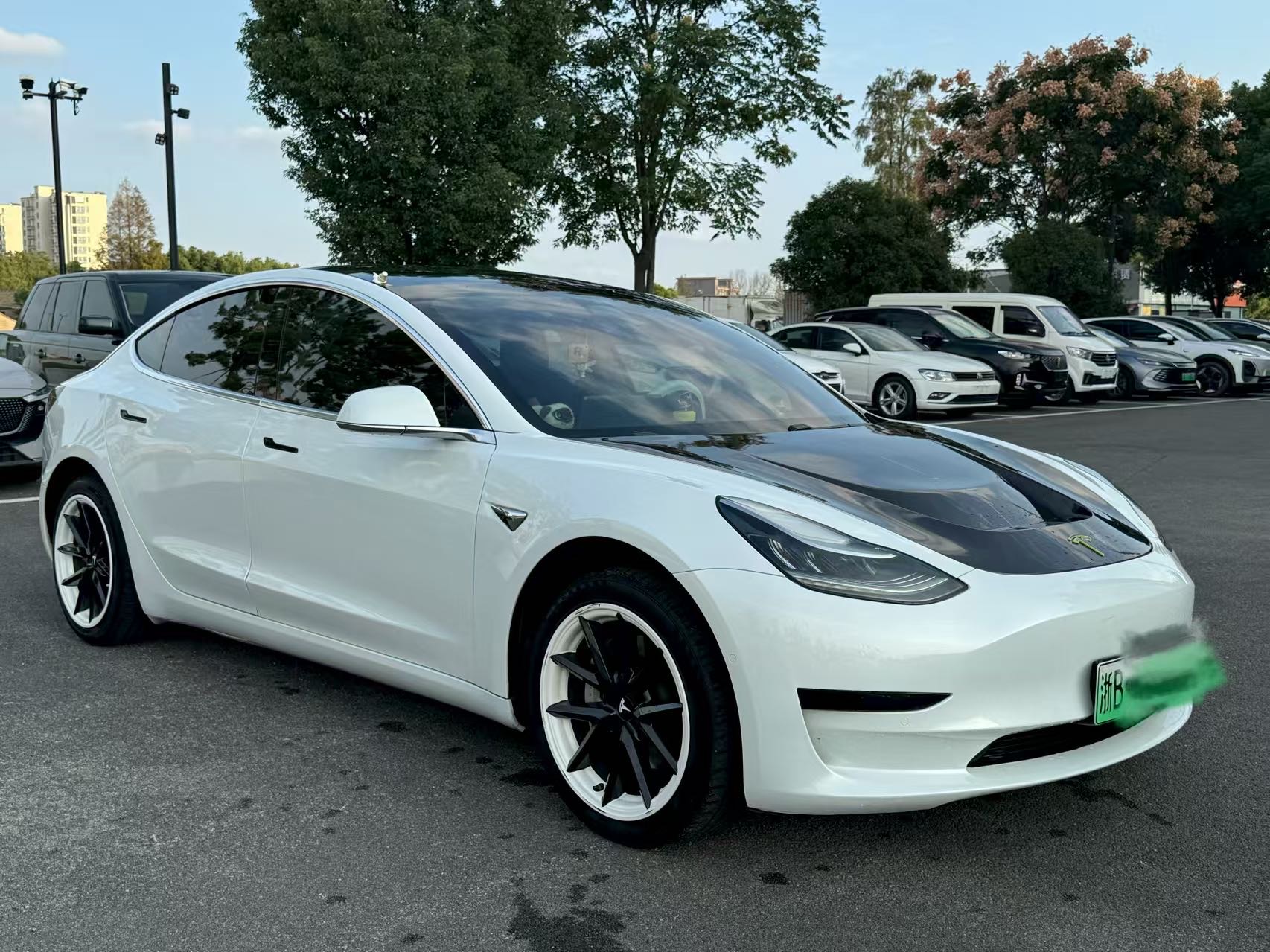 Tesla Model 3 (Imported) 2019 #3 Tesla Model 3 (Imported) 2019 imagen de coche #3