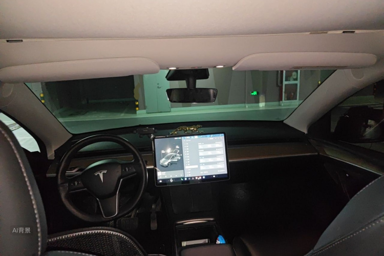 Tesla Model Y 2021 car image #11