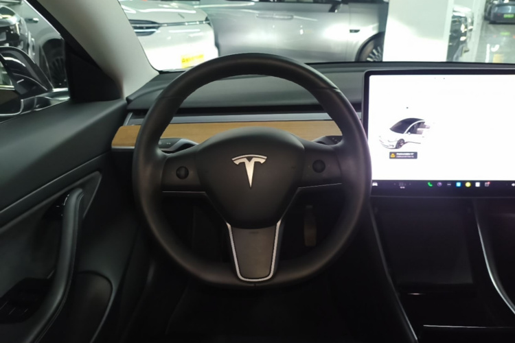 Tesla Model 3 2020 car image #15