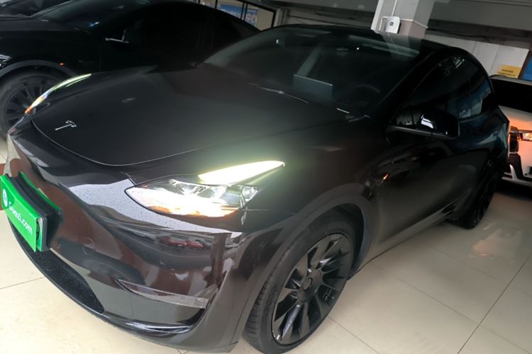 Tesla Model Y 2021 #2 Tesla Model Y 2021 car image #2