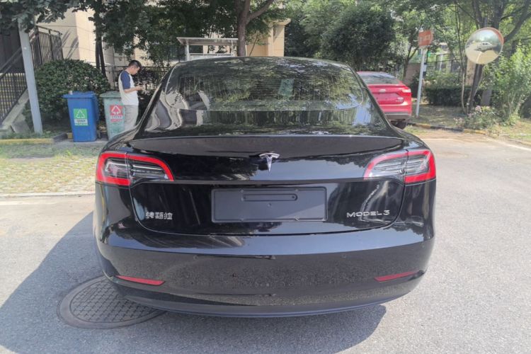 Tesla Model 3 2020 car image #6