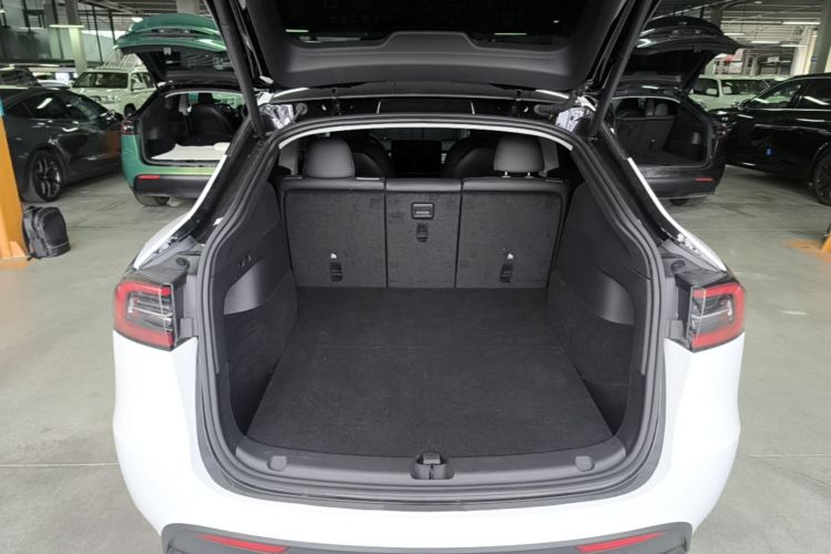 Tesla Model Y 2023 #19 Tesla Model Y 2023 car image #19