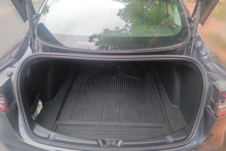 Tesla Model 3 2020 car image #17