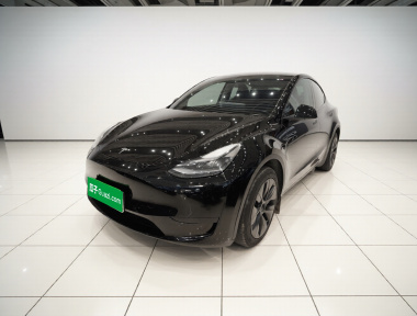 Tesla Model Y 2023 Tesla Model Y 2023 car image