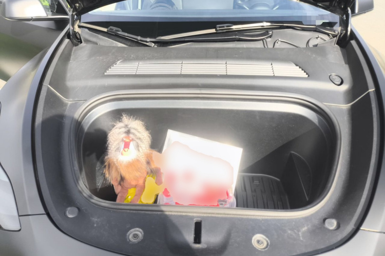 Tesla Model Y 2023 car image #22
