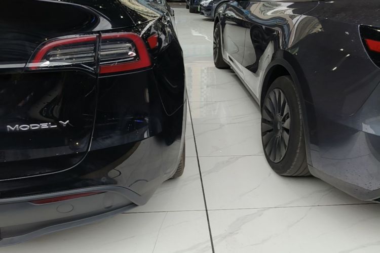 Tesla Model Y 2022 #8 Tesla Model Y 2022 car image #8
