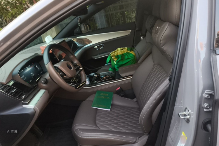 BYD Han 2024 car image #17