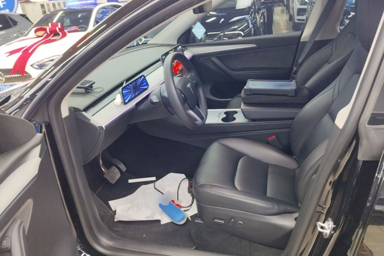 Tesla Model Y 2023 car image #15